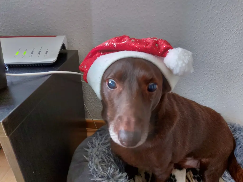 Image from Dobby