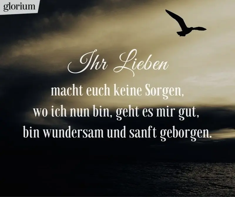 Condolence image of Katrin und Katzi im ❤️