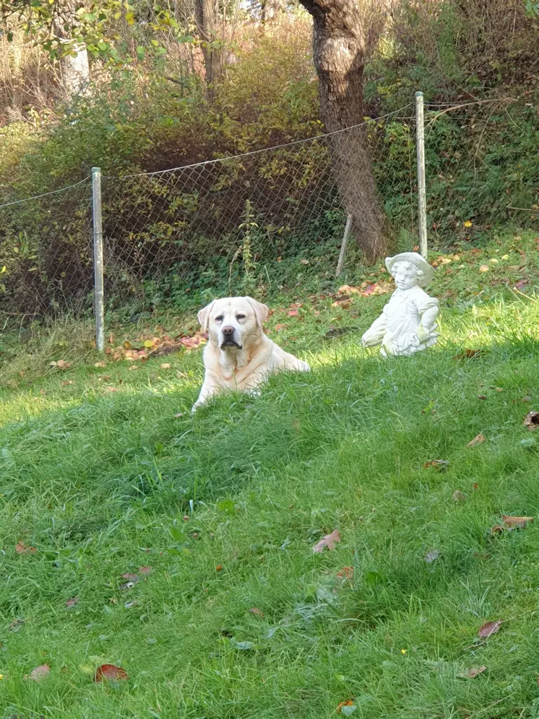 Image from Brandy