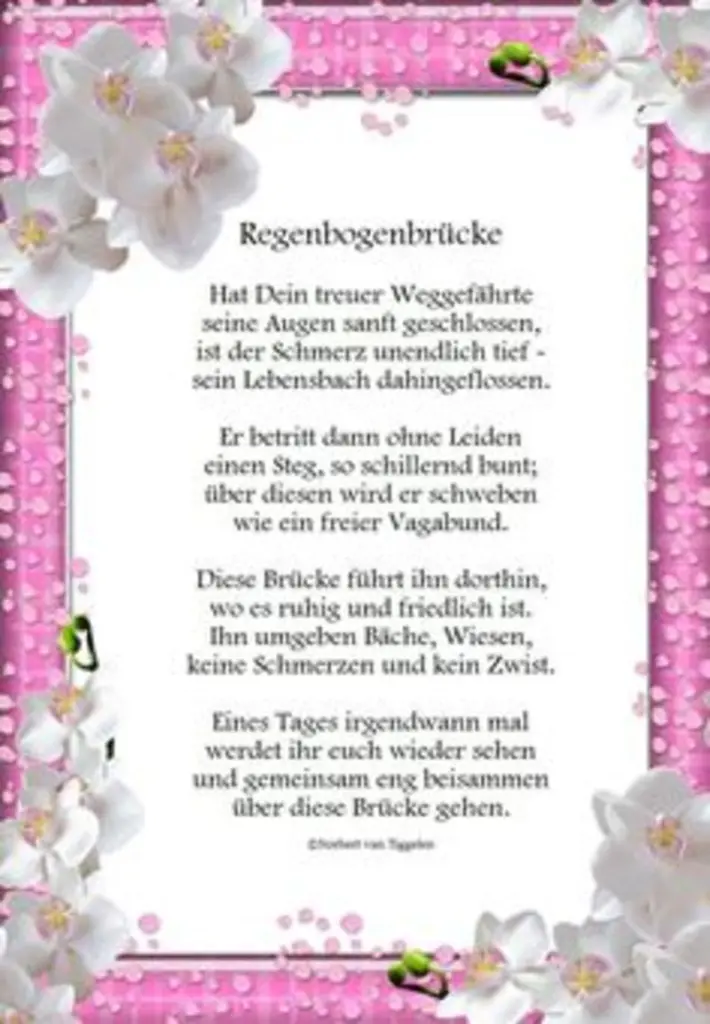 Condolence image of Katrin und Katzi im ❤️