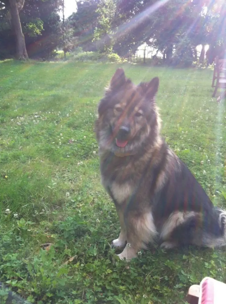 Image from Aika