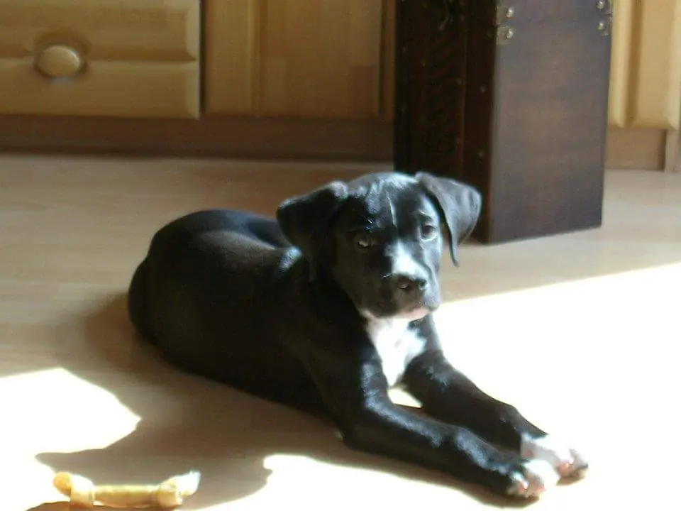 Image from Nero