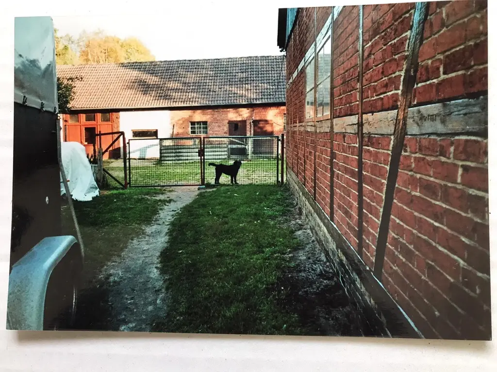 Image from Quinta