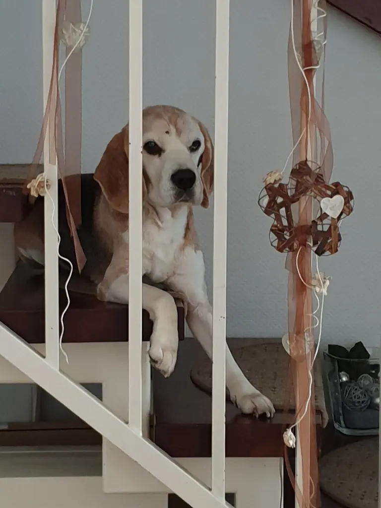 Image from ❤Odin❤