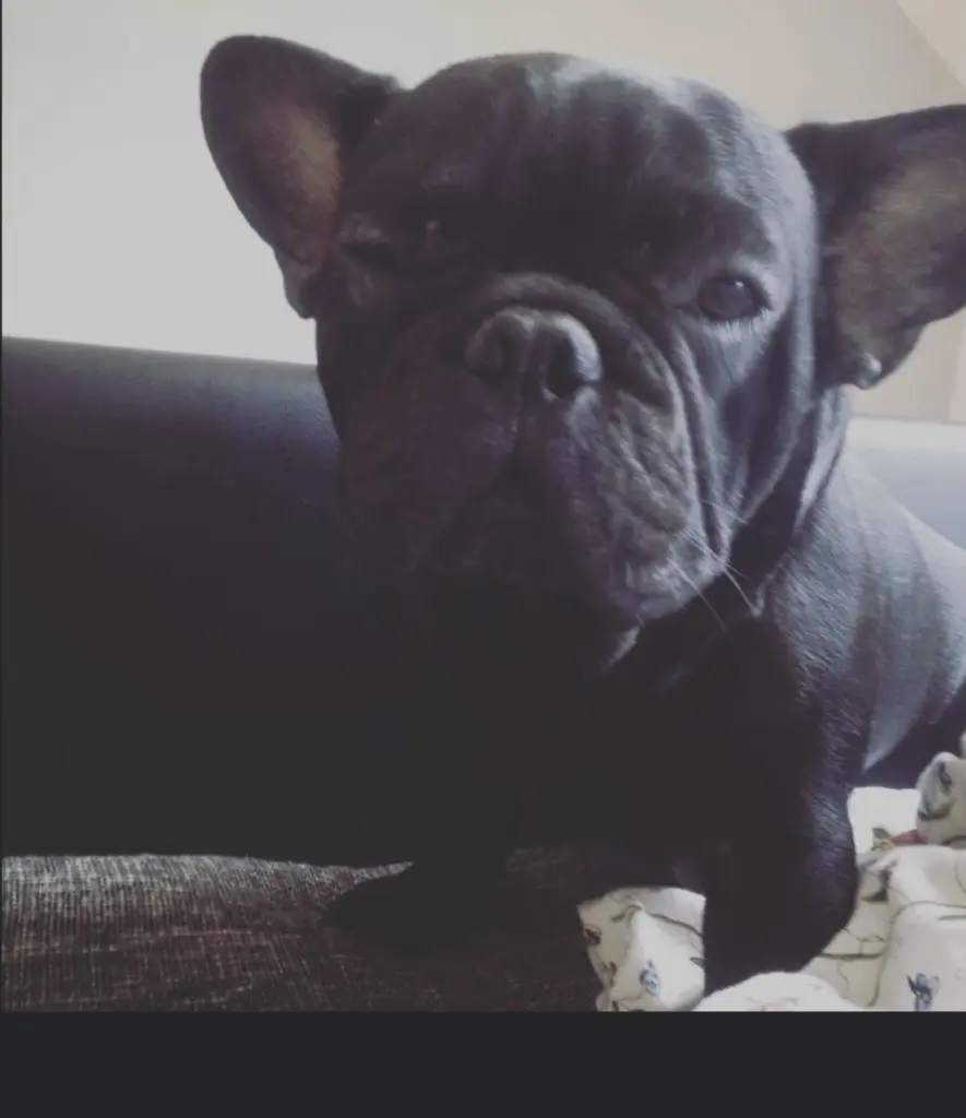 Image from Jack