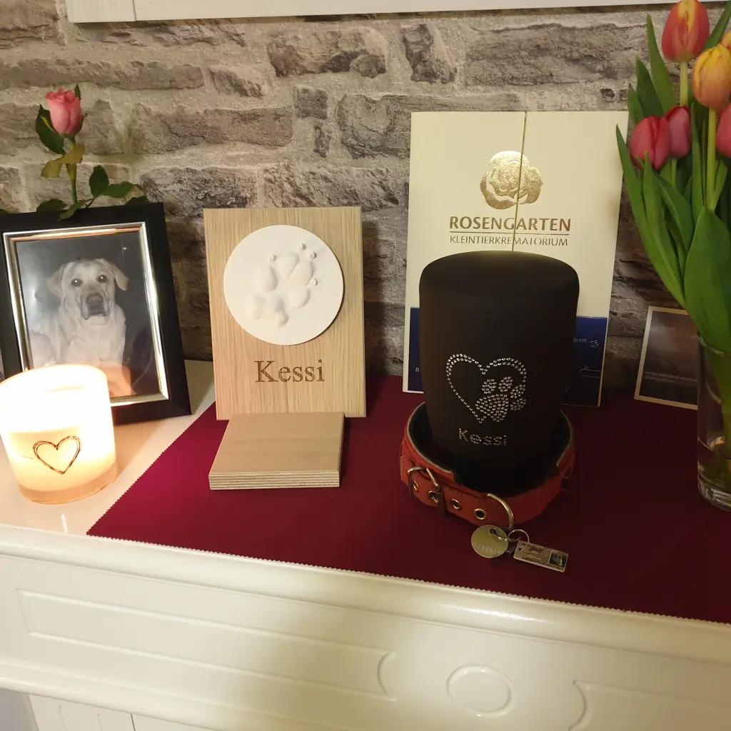 Image from Kessi