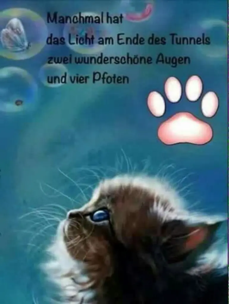 Condolence image of Jeannette mit Sisi und Lissy im ❤️