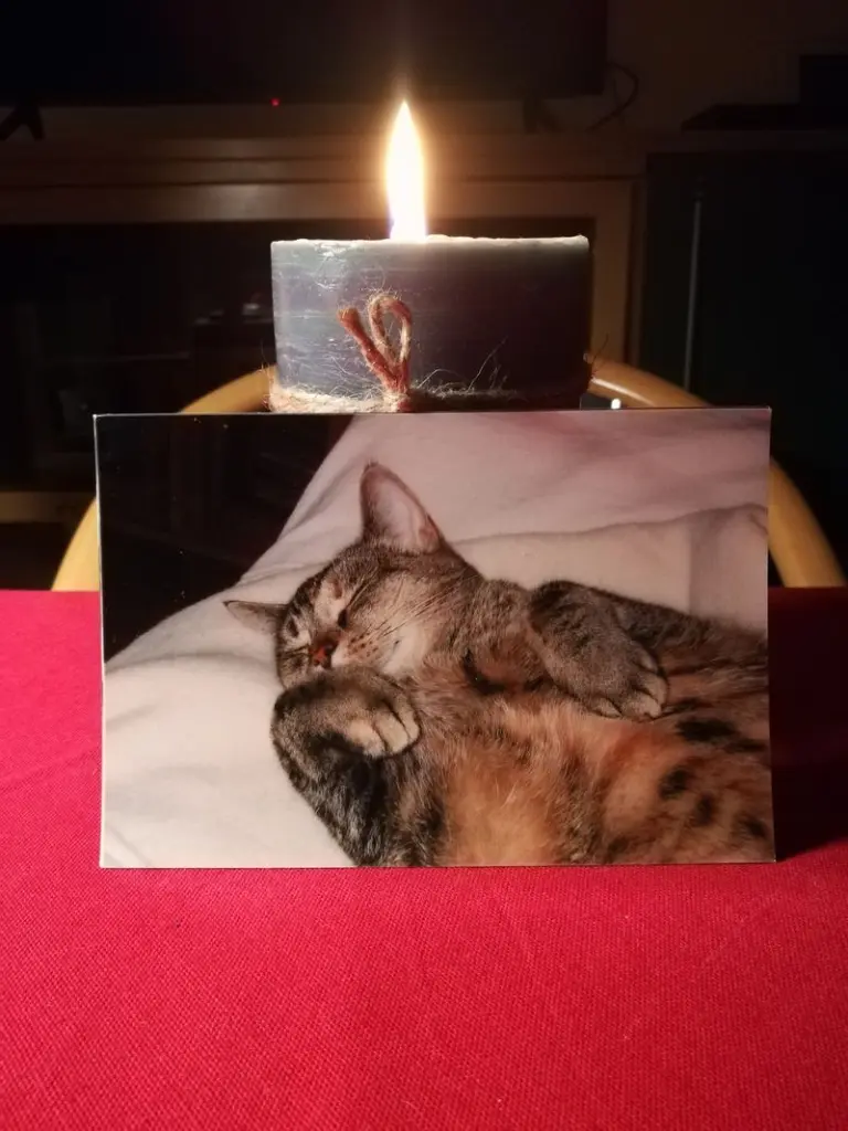 Condolence image of Ute Schnittert
