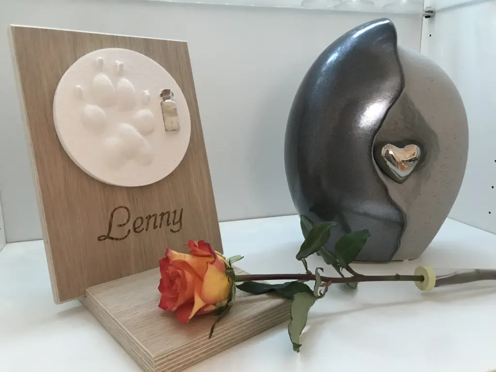 Image from Lenny