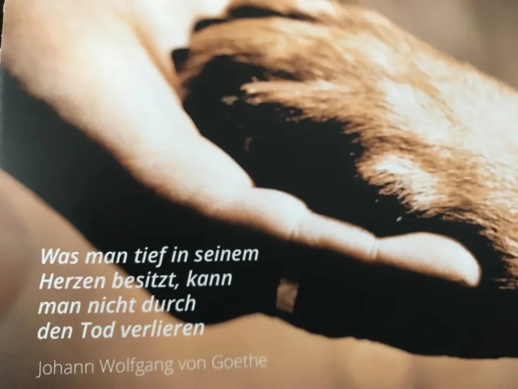 Image from Lenny