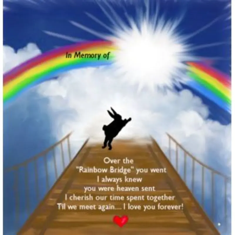 Condolence image of Katrin und Katzi im ❤️