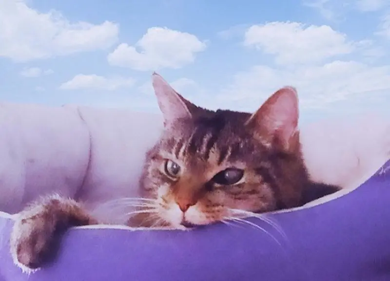 Andachtsbild von Rudolf+Mau