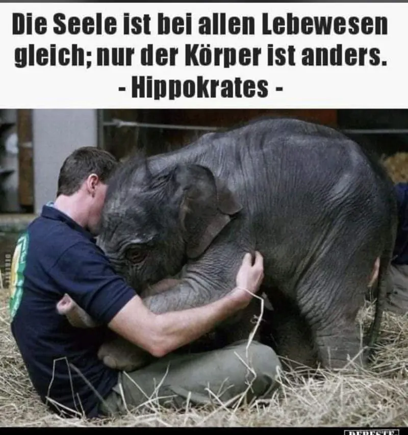 Condolence image of Birgit