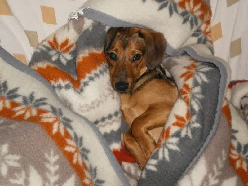 Condolence image of Antje