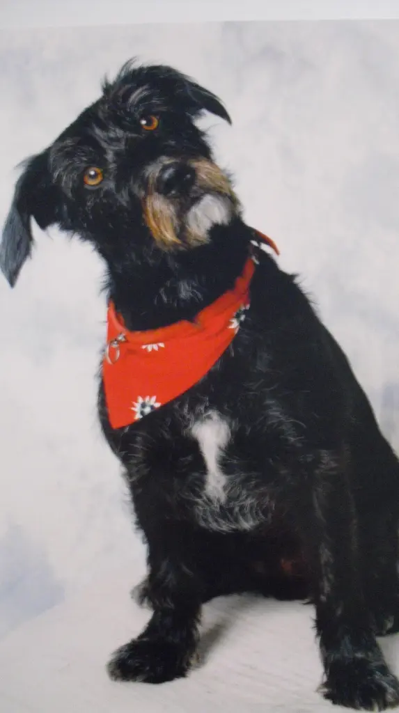 Image from Tequila (Pupi)