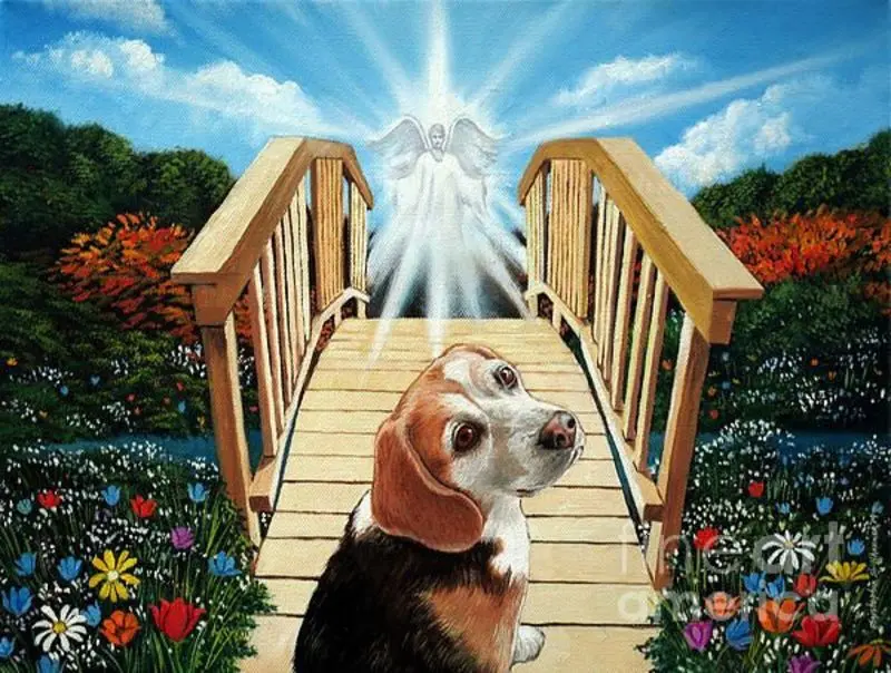 Condolence image of ❤