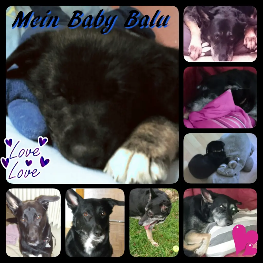 Image from Balu