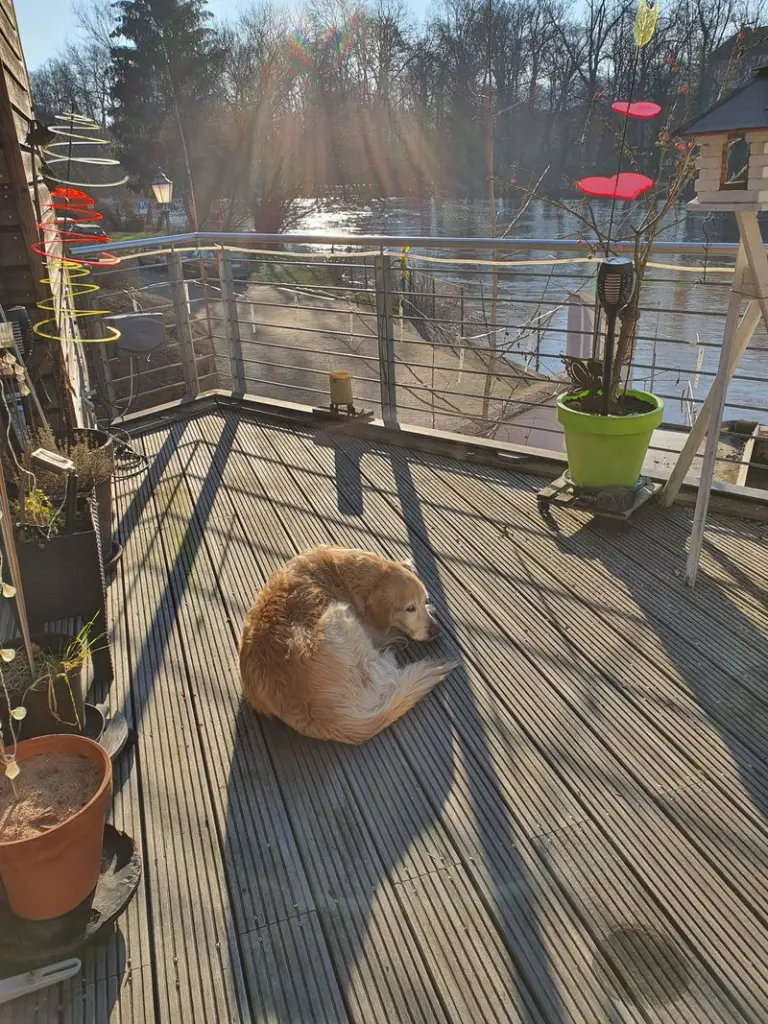 Condolence image of Conny