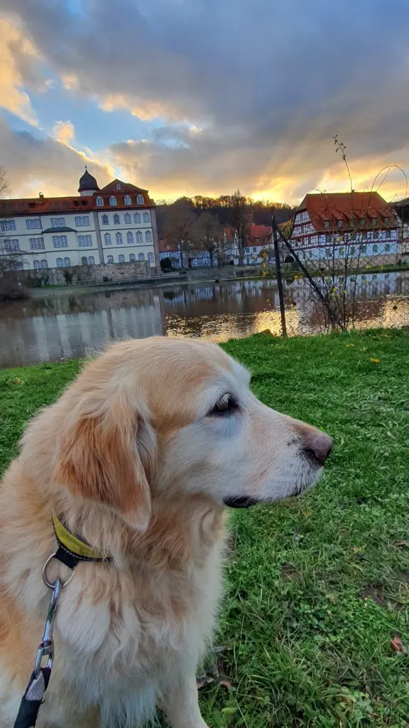 Condolence image of Conny