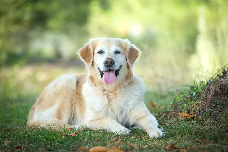 Condolence image of Conny