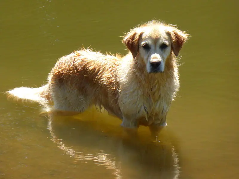 Condolence image of Conny