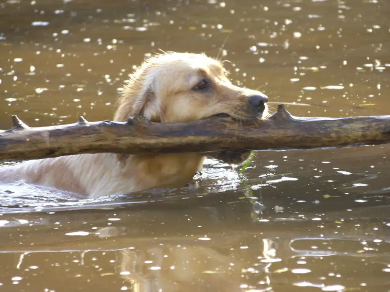 Condolence image of Conny