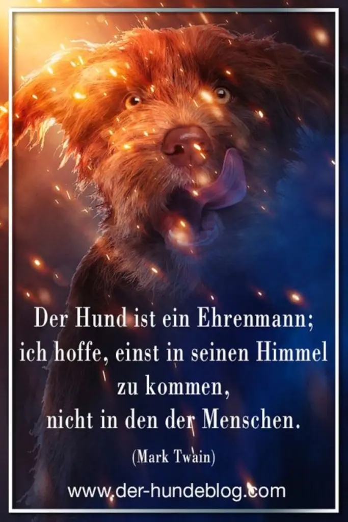 Condolence image of Katrin und Katzi im ❤️