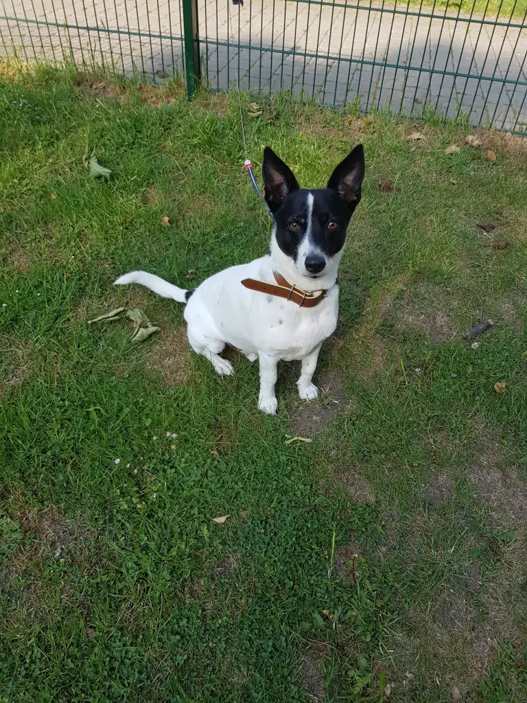 Image from Max
