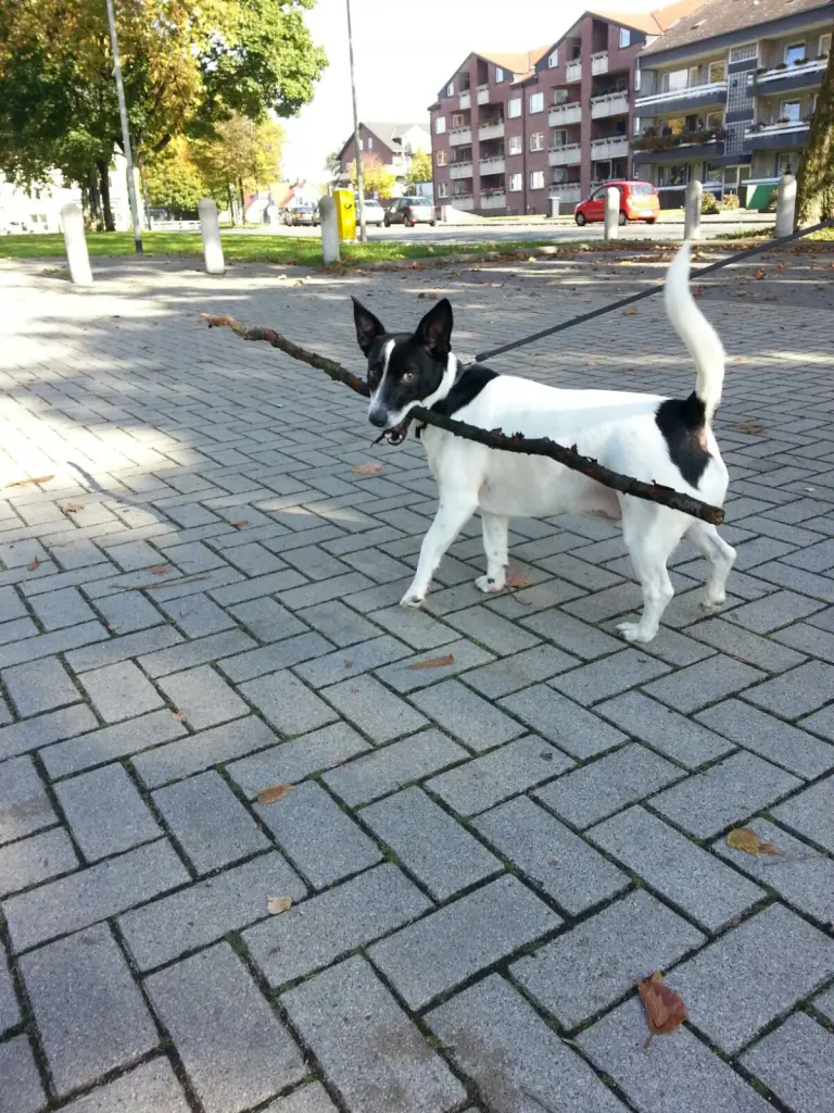 Image from Max