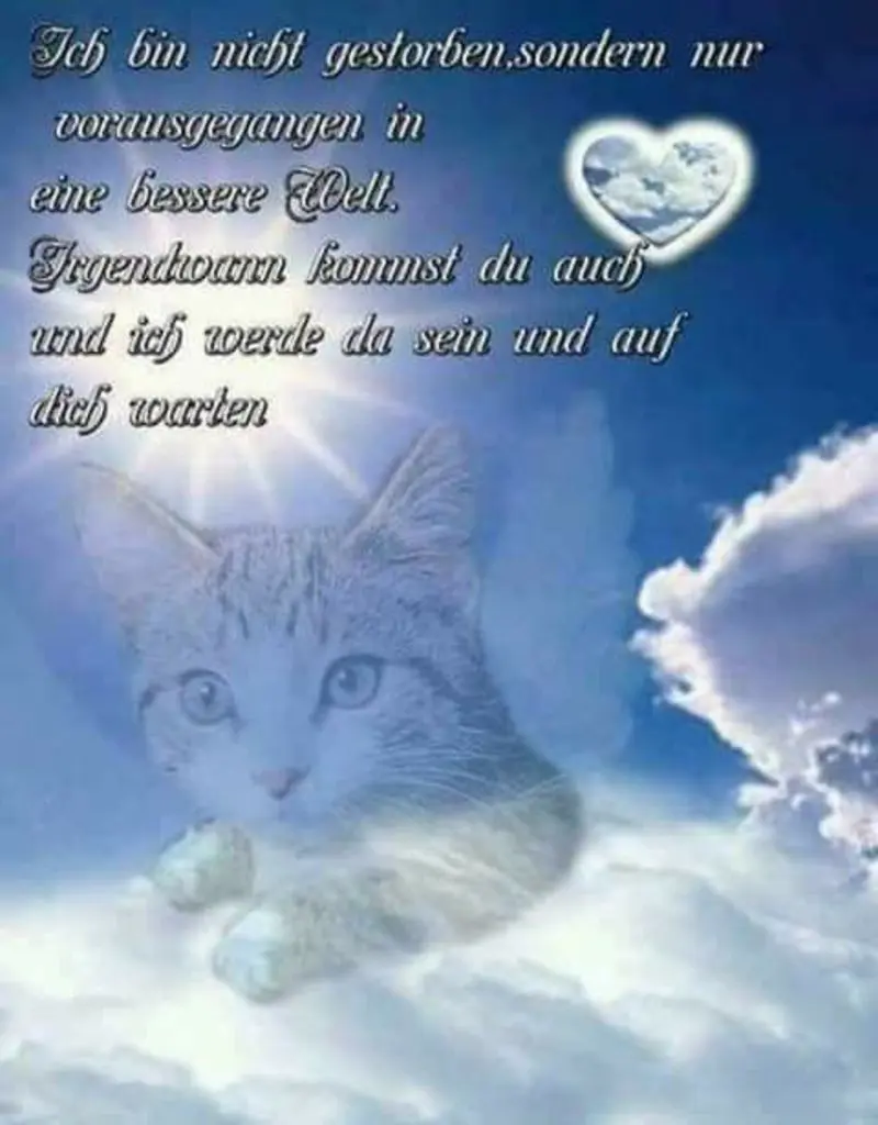 Condolence image of Maria und Markus
