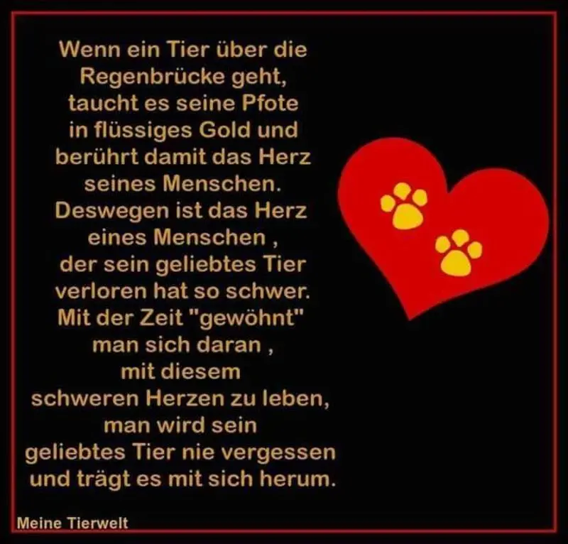 Condolence image of Maria und Markus