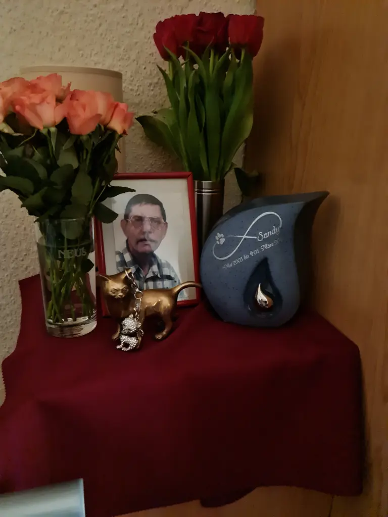 Image from Sandy