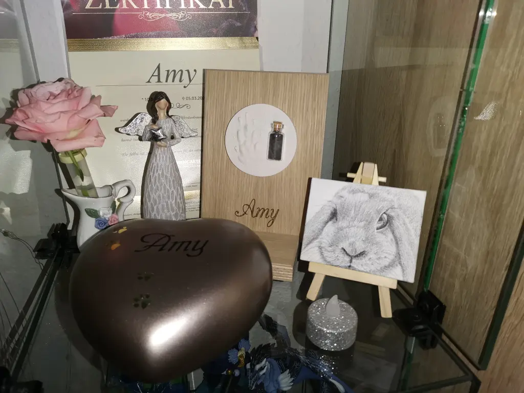 Image from Amy