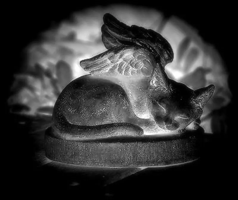 Condolence image of Britta