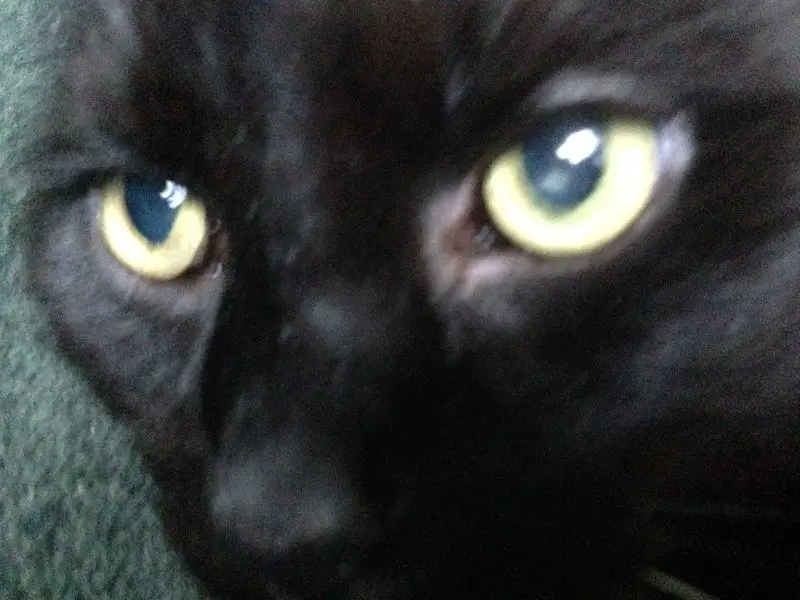 Condolence image of Britta