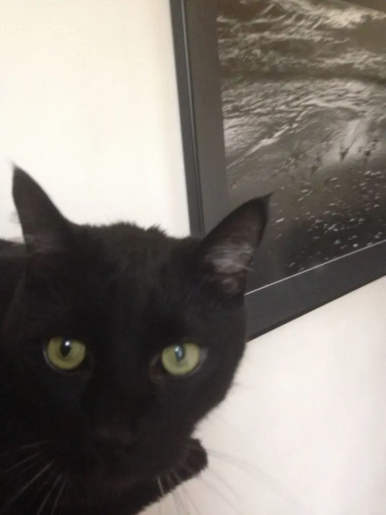Condolence image of Britta