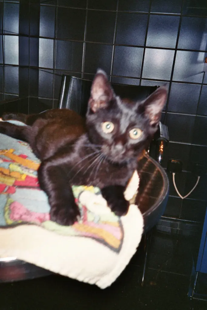 Condolence image of Britta