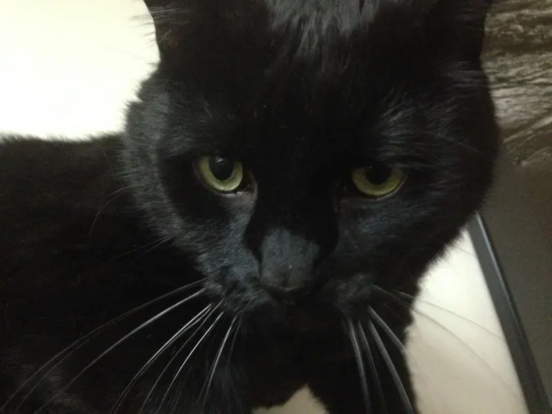 Condolence image of Britta