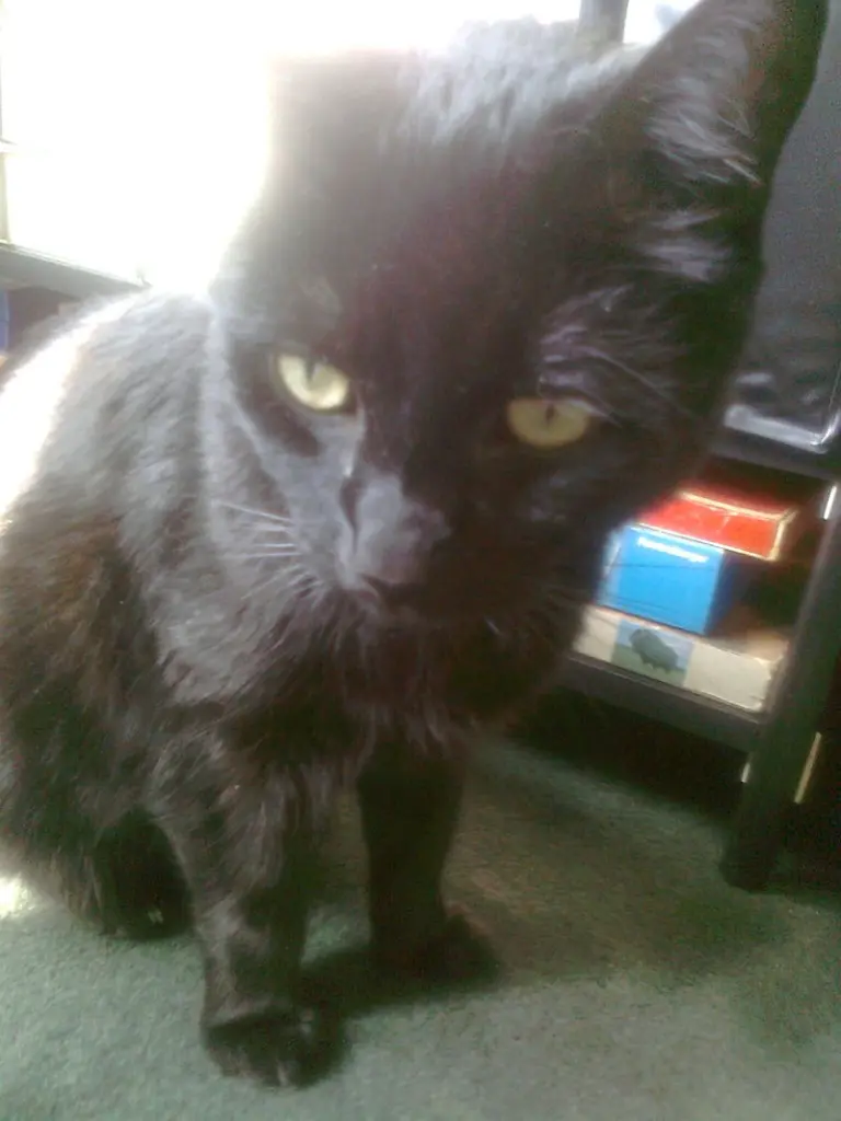 Condolence image of Britta