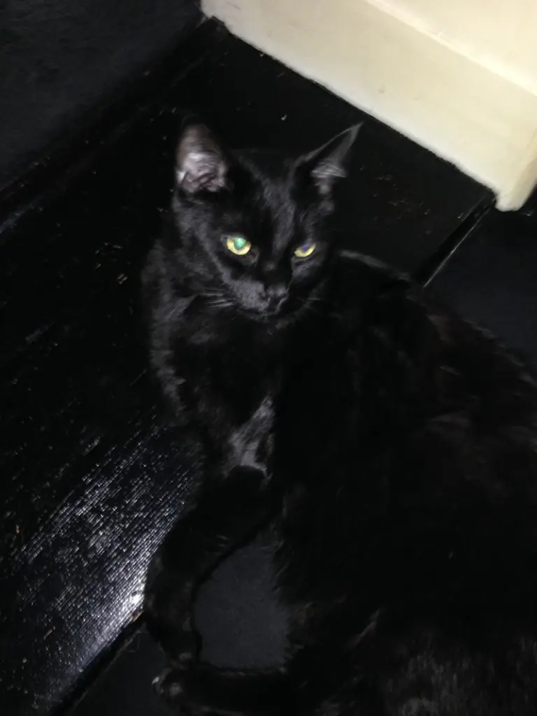 Condolence image of Britta