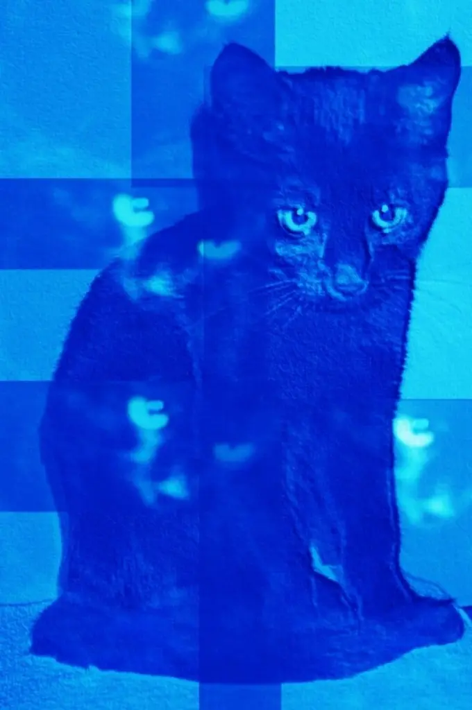 Condolence image of Britta