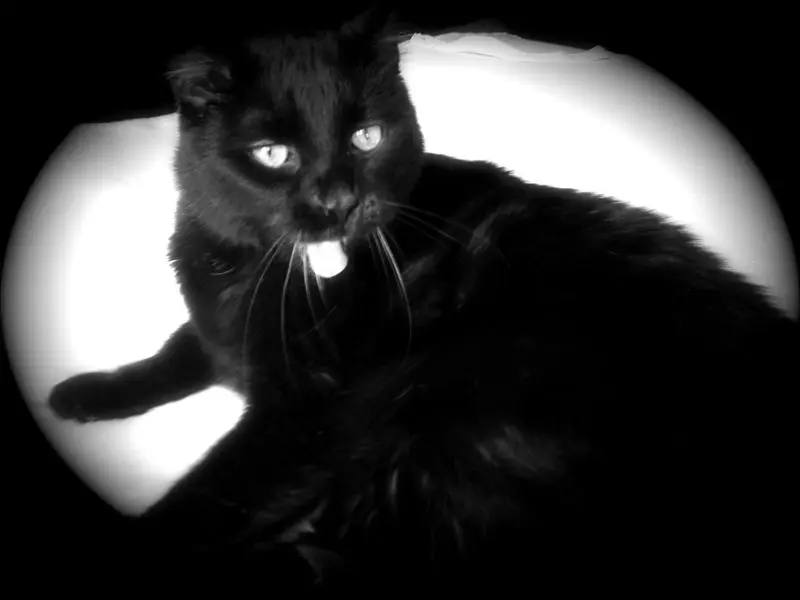 Image from Sunny (''Wild Thing'')