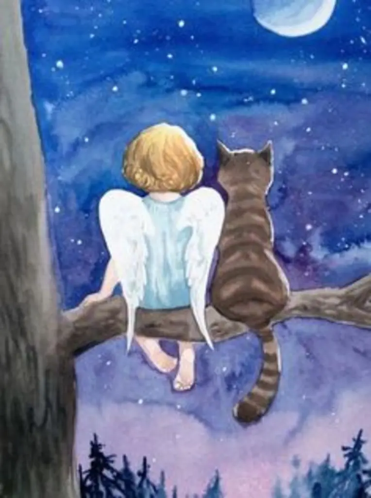 Condolence image of Katrin und Katzi im ❤️