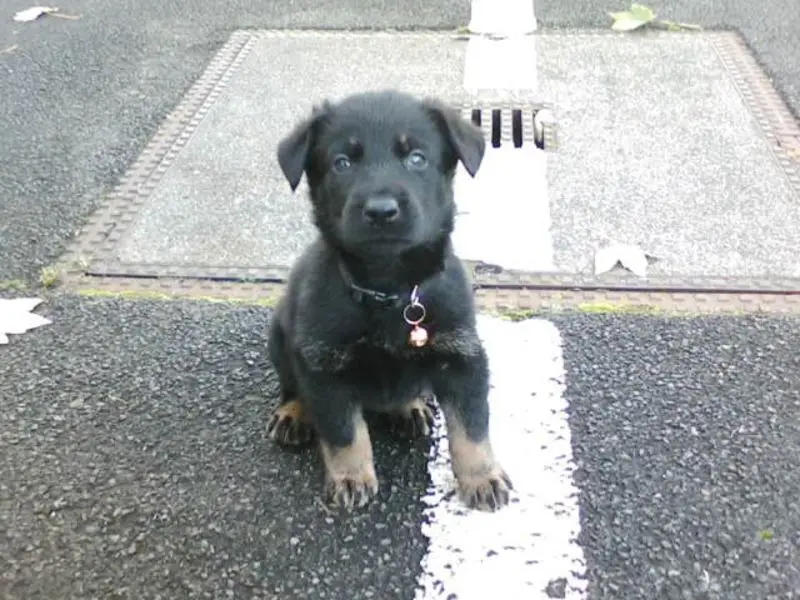 Condolence image of Heidi