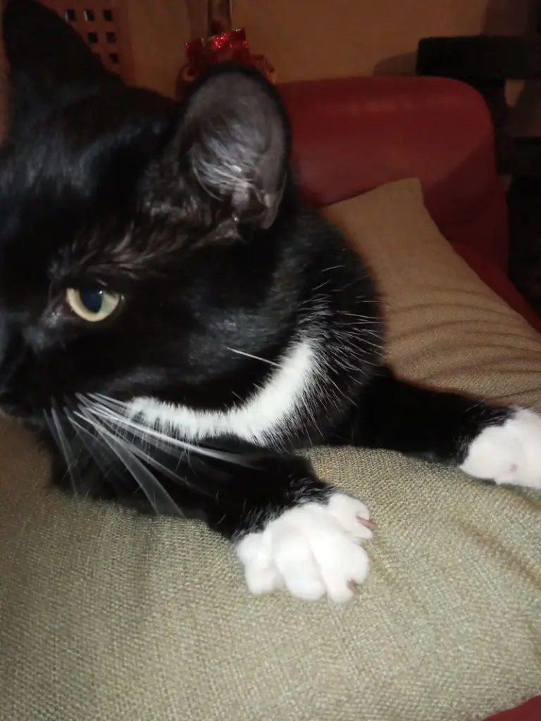 Condolence image of Conny