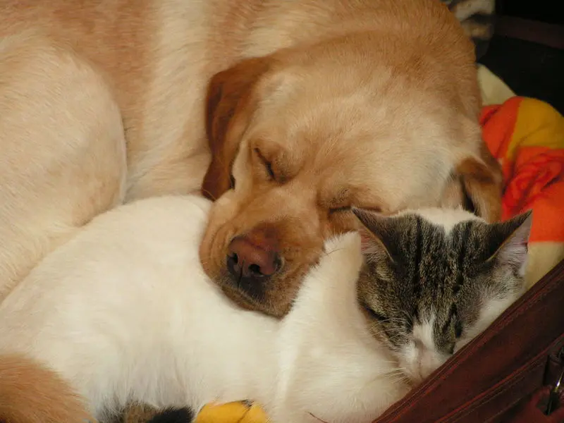 Condolence image of Andrea mit Graham im Herzen