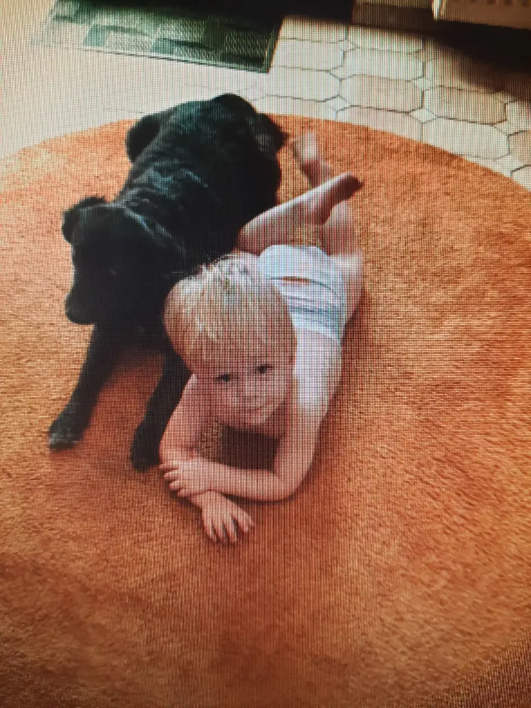 Image from Maxi