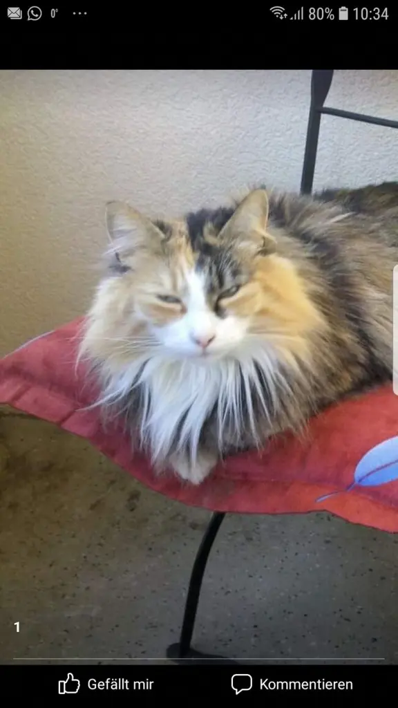 Condolence image of Mandy