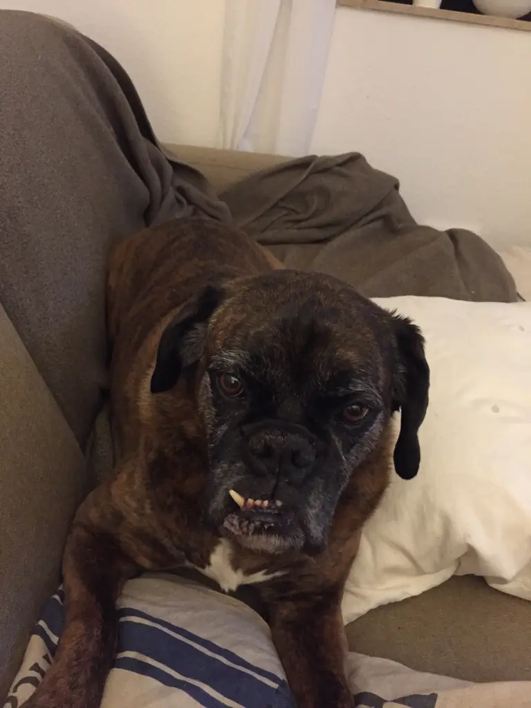 Image from Hilde