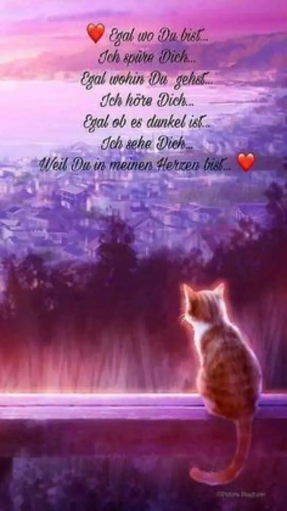 Andachtsbild von Katrin und Katzi im ❤️